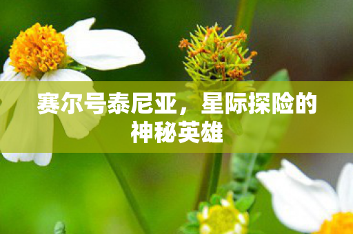 星际探险的神秘英雄图片