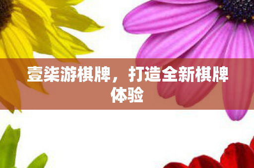 打造全新棋牌体验图片