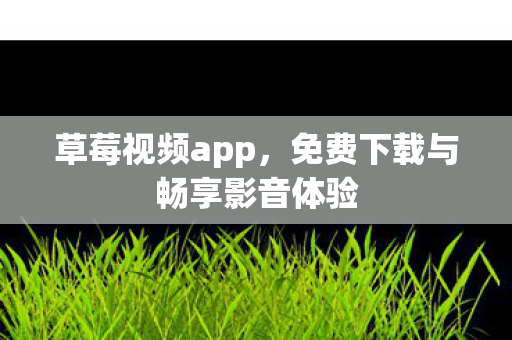 免费下载与畅享影音体验图片