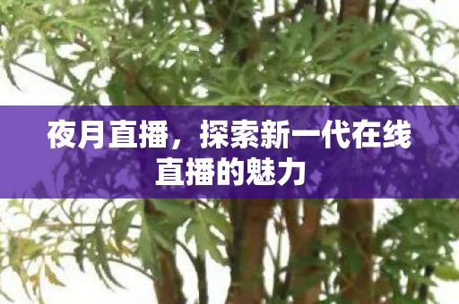 探索新一代在线直播的魅力图片