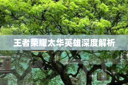 王者荣耀太华英雄深度解析图片