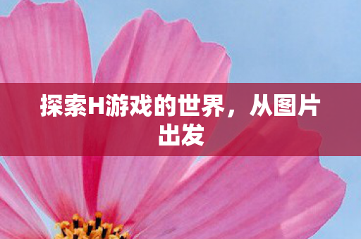 探索H游戏的世界图片