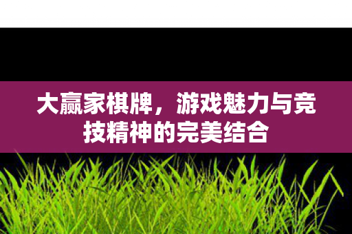 游戏魅力与竞技精神的完美结合图片