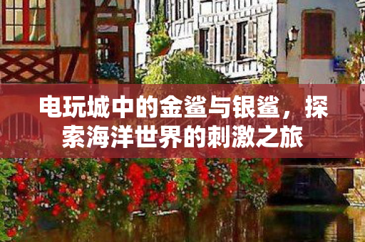 探索海洋世界的刺激之旅图片