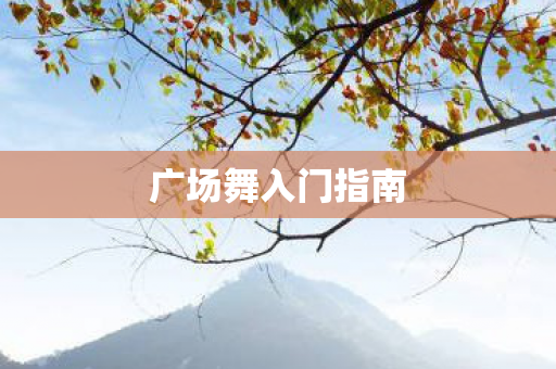 广场舞入门指南图片
