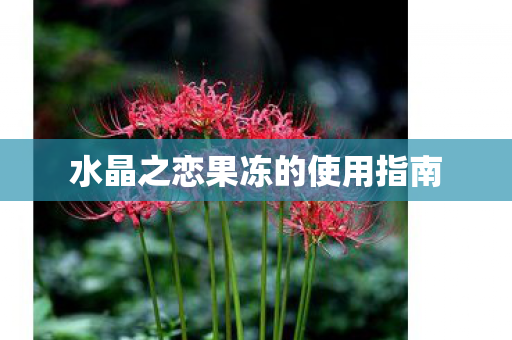 水晶之恋果冻的使用指南图片