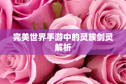 完美世界手游中的灵族剑灵解析图片