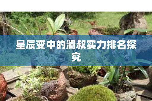 星辰变中的澜叔实力排名探究图片