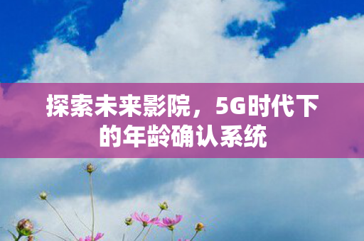 5G时代下的年龄确认系统图片