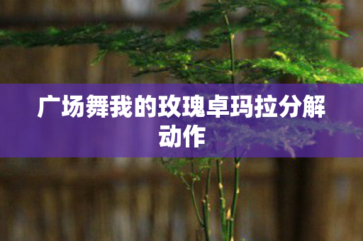 广场舞我的玫瑰卓玛拉分解动作图片