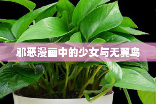邪恶漫画中的少女与无翼鸟图片