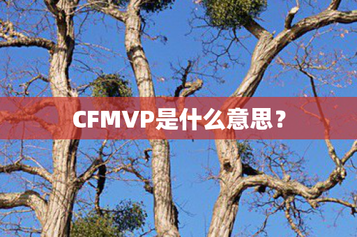 CFMVP是什么意思图片