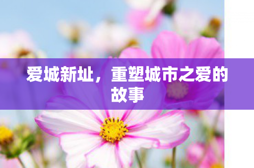 重塑城市之爱的故事图片