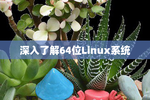 深入了解64位Linux系统图片
