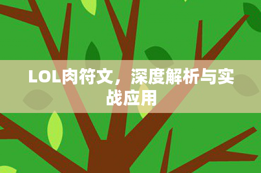深度解析与实战应用图片