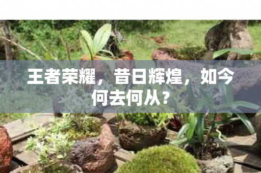 如今何去何从图片