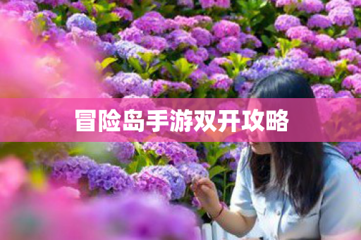 冒险岛手游双开攻略图片