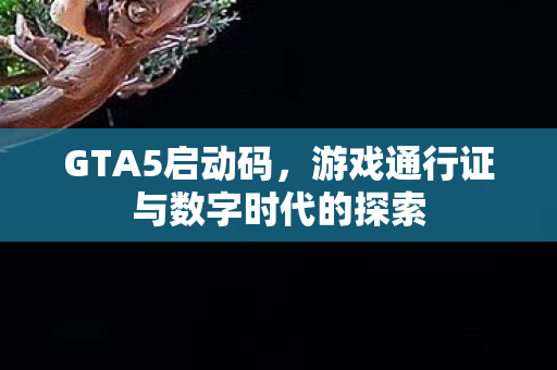 游戏通行证与数字时代的探索图片