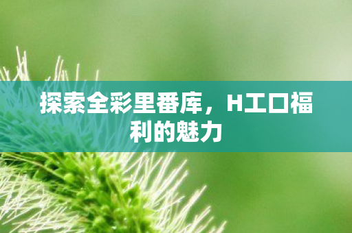 H工口福利的魅力图片