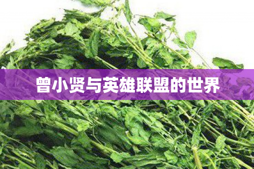 曾小贤与英雄联盟的世界图片