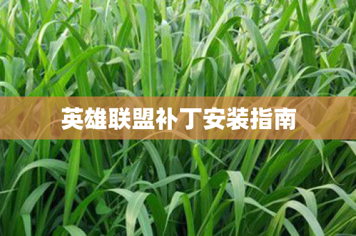 英雄联盟补丁安装指南图片