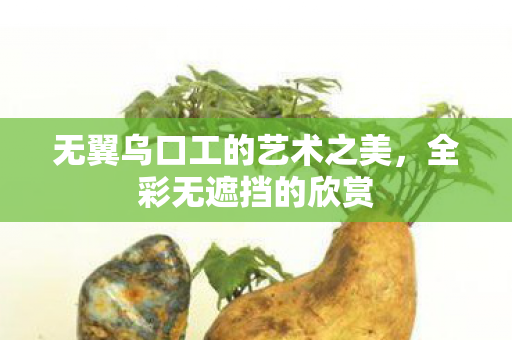无翼乌口工的艺术之美图片