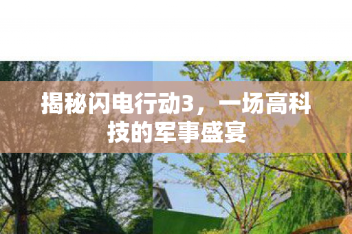 一场高科技的军事盛宴图片