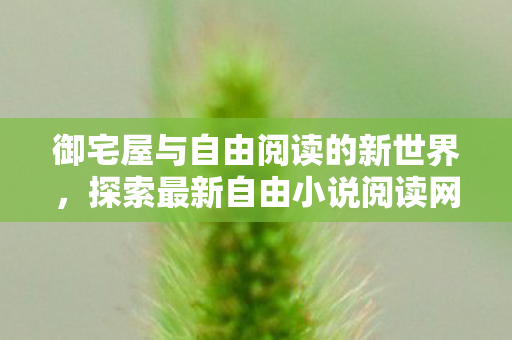 御宅屋与自由阅读的新世界图片