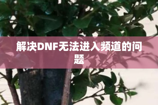 解决DNF无法进入频道的问题图片