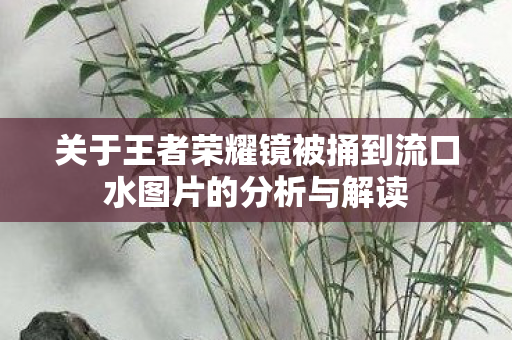 关于王者荣耀镜被捅到流口水图片的分析与解读图片