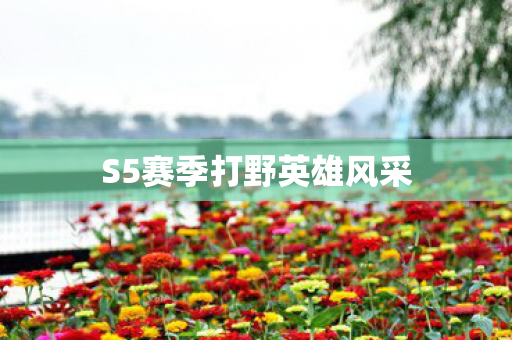 S5赛季打野英雄风采图片
