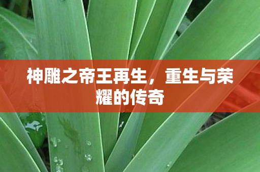 重生与荣耀的传奇图片