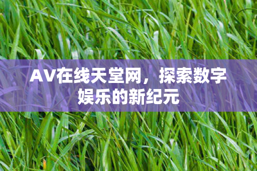 探索数字娱乐的新纪元图片