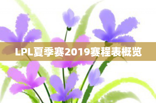 LPL夏季赛2019赛程表概览图片