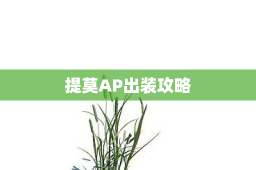 提莫AP出装攻略图片