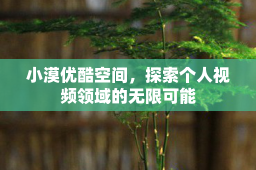 探索个人视频领域的无限可能图片
