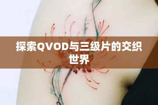 探索QVOD与三级片的交织世界图片