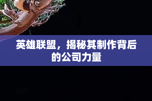 揭秘其制作背后的公司力量图片