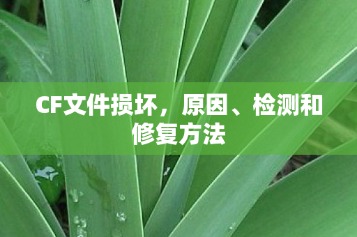 检测和修复方法图片
