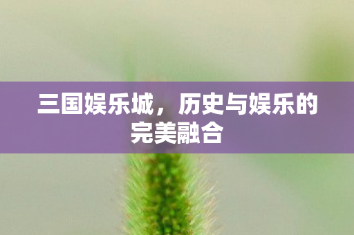 历史与娱乐的完美融合图片