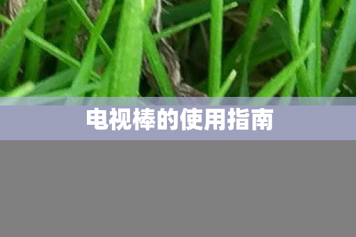 电视棒的使用指南图片