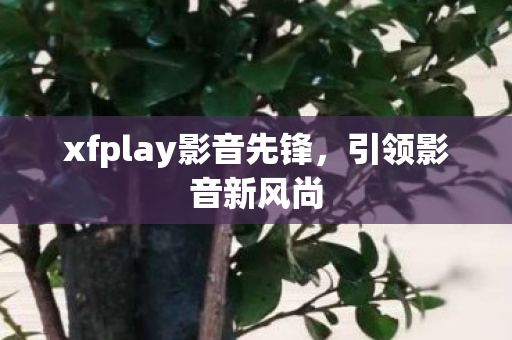 xfplay影音先锋图片