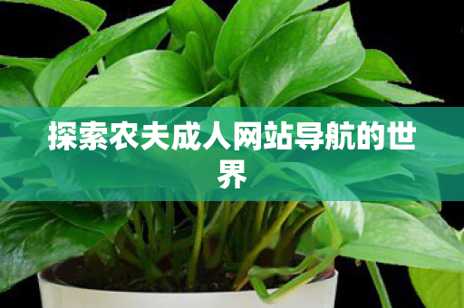探索农夫成人网站导航的世界图片