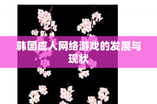 韩国成人网络游戏的发展与现状图片