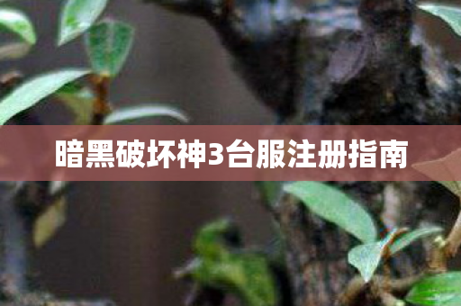 暗黑破坏神3台服注册指南图片