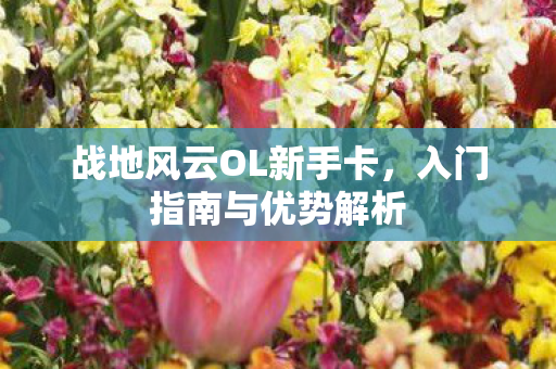 战地风云OL新手卡图片