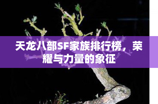天龙八部SF家族排行榜图片