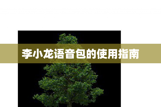 李小龙语音包的使用指南图片