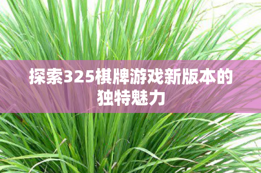 探索325棋牌游戏新版本的独特魅力图片