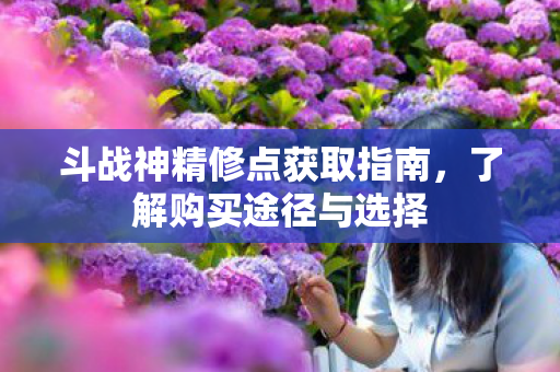 斗战神精修点获取指南图片